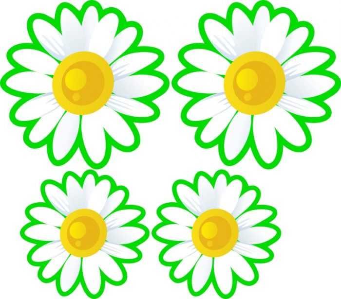 Șabloane de flori colorate pentru decupat din hârtie 170 de ilustrații