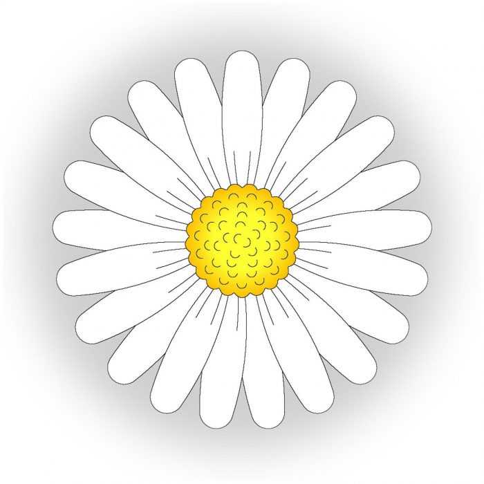 Șabloane de flori colorate pentru decupat din hârtie 170 de ilustrații
