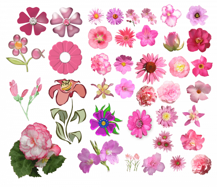 Șabloane de flori colorate pentru decupat din hârtie 170 de ilustrații