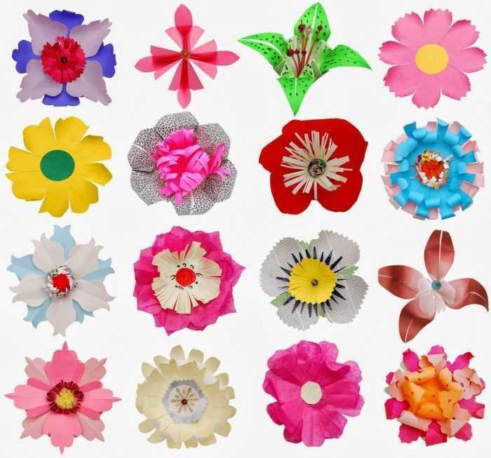 Șabloane de flori colorate pentru decupat din hârtie 170 de ilustrații