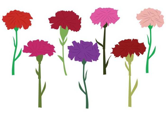 Șabloane de flori colorate pentru decupat din hârtie 170 de ilustrații