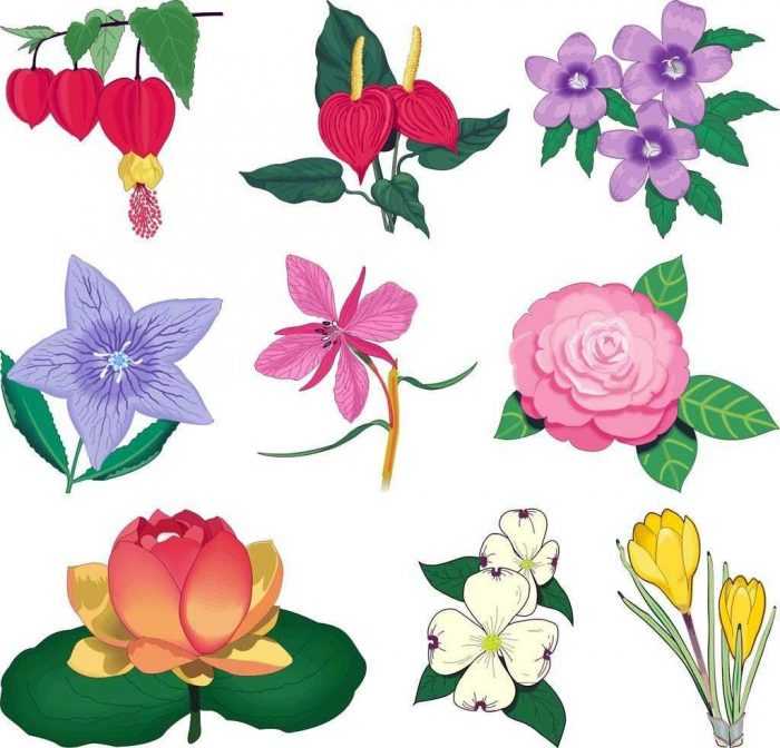 Șabloane de flori colorate pentru decupat din hârtie 170 de ilustrații