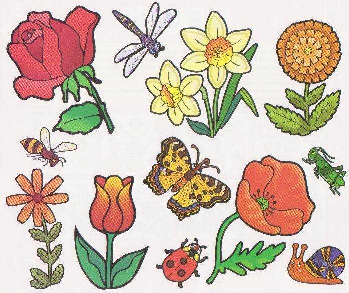 Șabloane de flori colorate pentru decupat din hârtie 170 de ilustrații