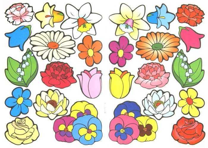 Șabloane de flori colorate pentru decupat din hârtie 170 de ilustrații