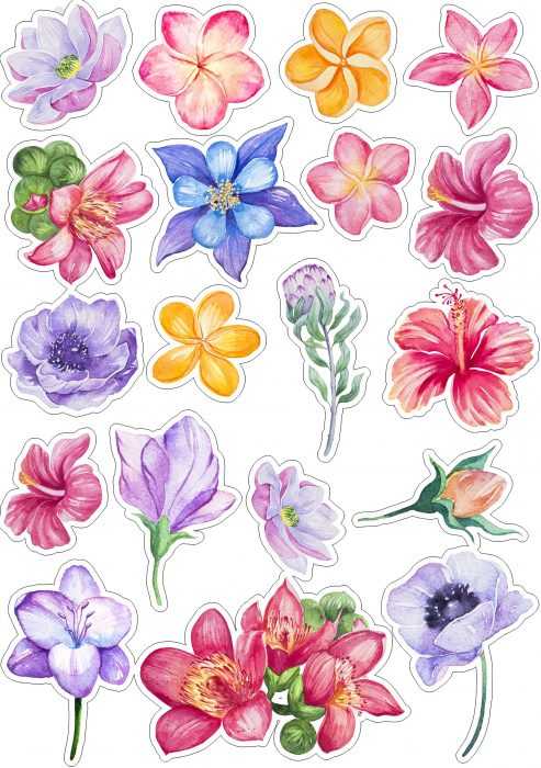 Șabloane de flori colorate pentru decupat din hârtie 170 de ilustrații