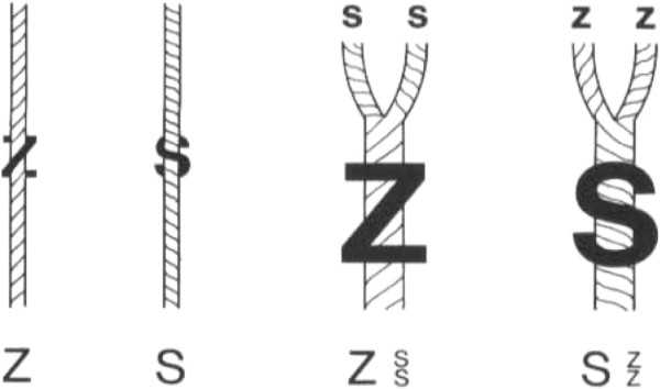 Nähgarne: Arten, Namen, Zwecke