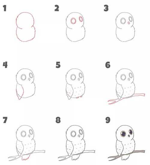 Eulenzeichnung für Kinder mit Buntstift