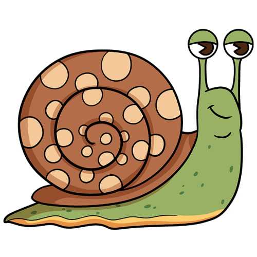 ציור חילזון לילדים בעיפרון